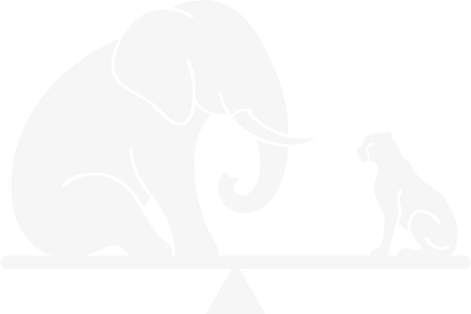 Marketing Investing